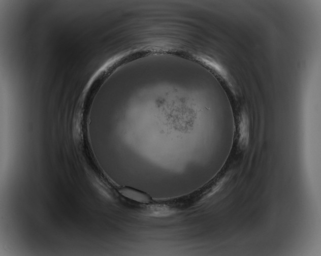X0000087010392200704161545