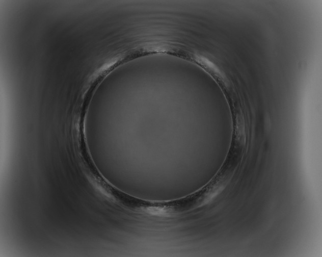 X0000087010394200704161545