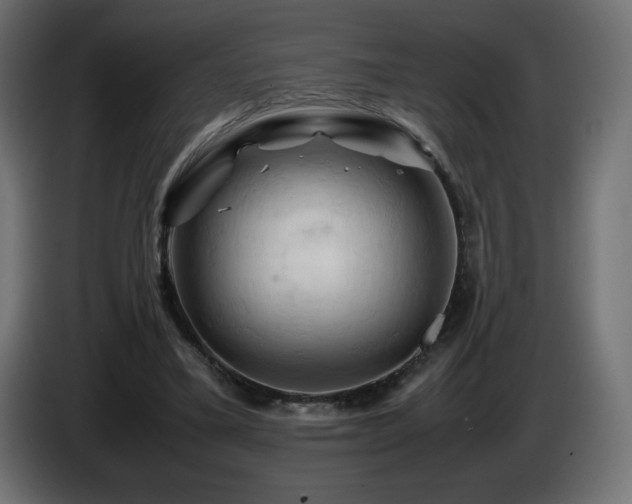 X0000087010395200704161545