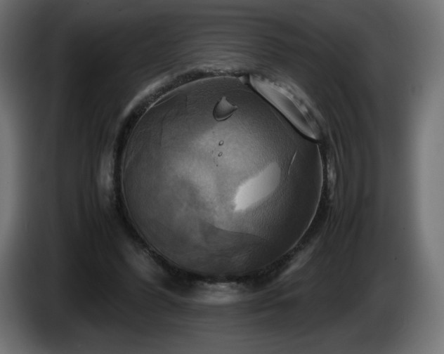 X0000087010396200704161545