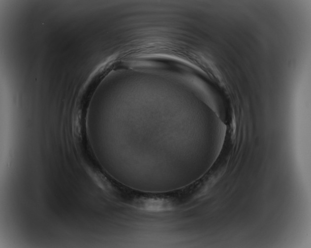 X0000087010400200704161545