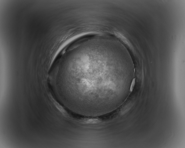 X0000087010401200704161545
