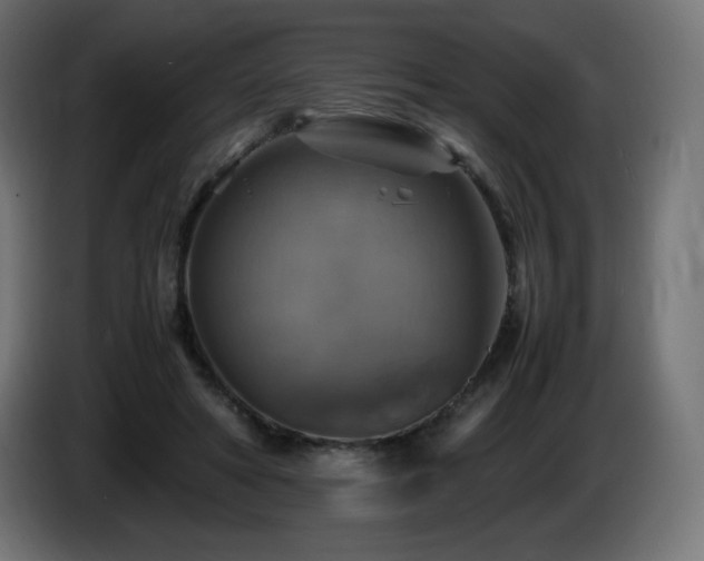 X0000087010402200704161545