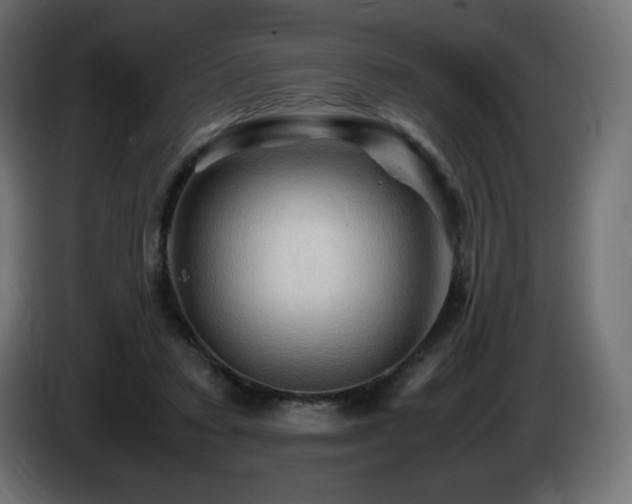 X0000087010403200704161545