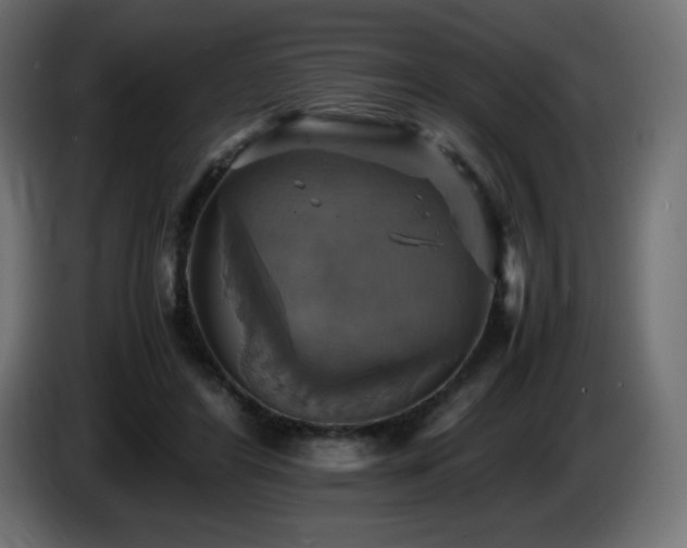 X0000087010404200704161545