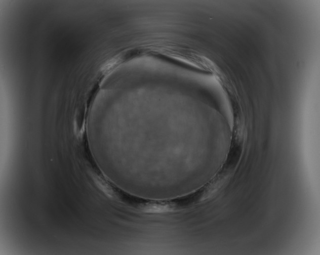 X0000087010405200704161545
