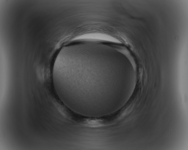 X0000087010407200704161545