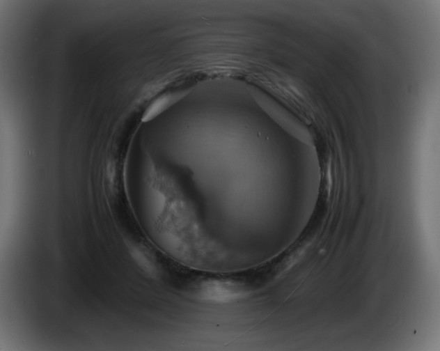 X0000087010408200704161545