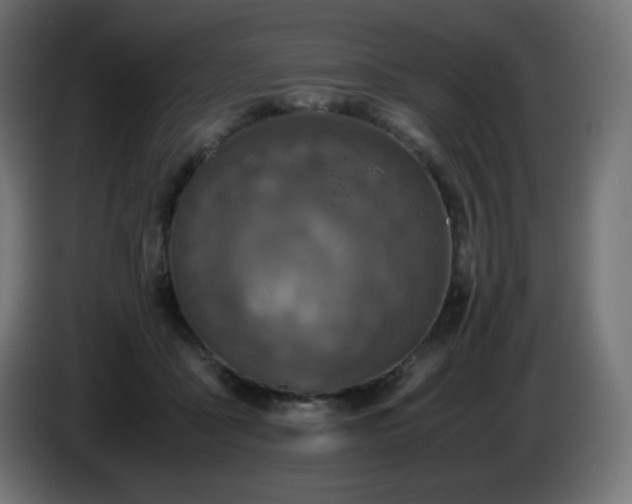 X0000087010411200704161545