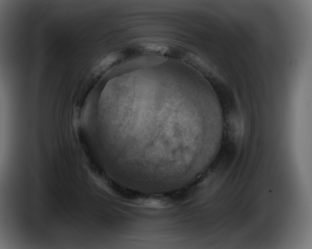 X0000087010412200704161545