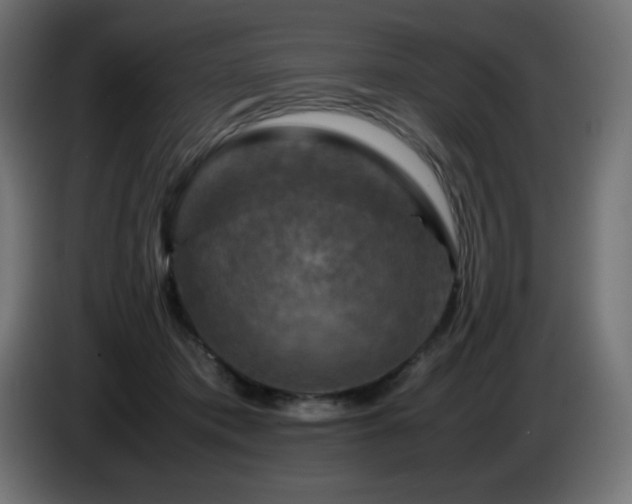 X0000087010413200704161545