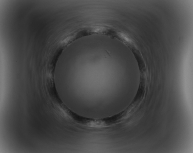 X0000087010415200704161545