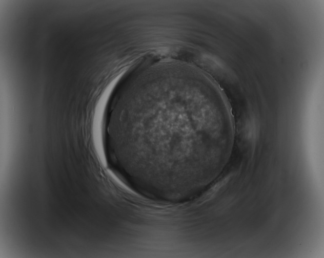 X0000087010416200704161545