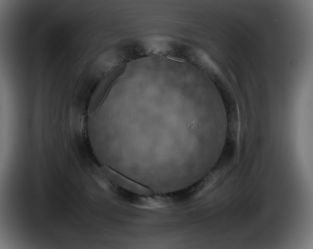 X0000087010417200704161545
