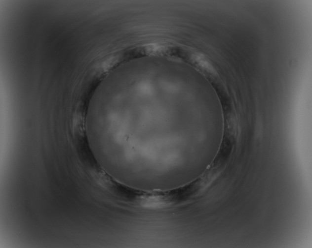 X0000087010419200704161545