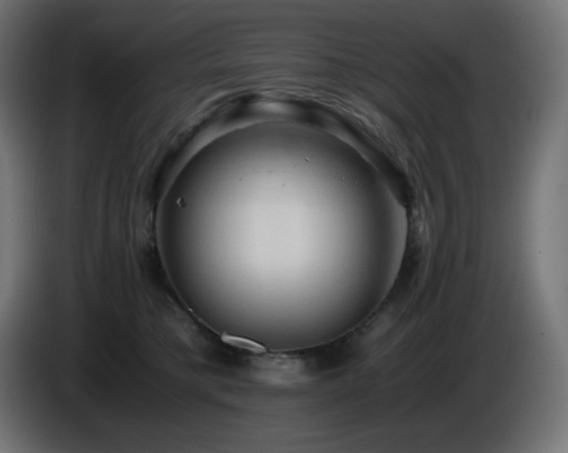 X0000087010421200704161545