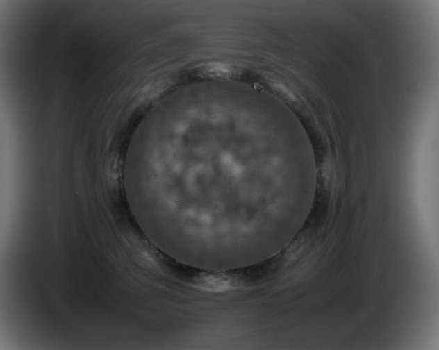 X0000087010423200704161545