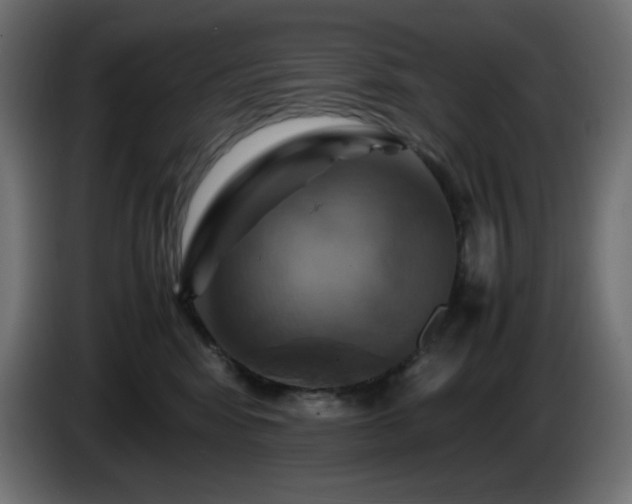 X0000087010424200704161545