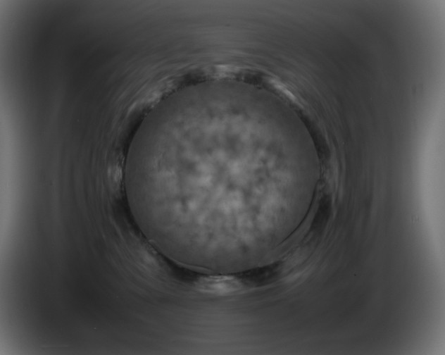 X0000087010427200704161545