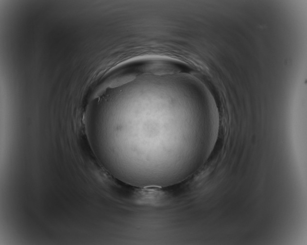 X0000087010429200704161545