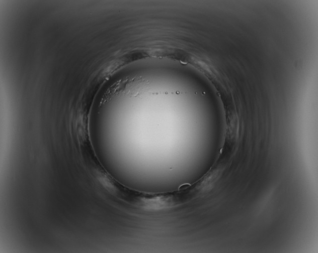 X0000087010430200704161545