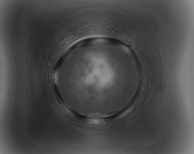X0000087010432200704161545