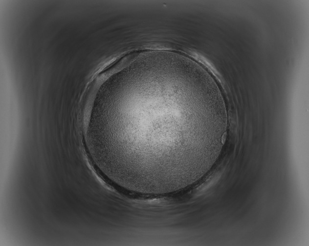 X0000087010433200704161544