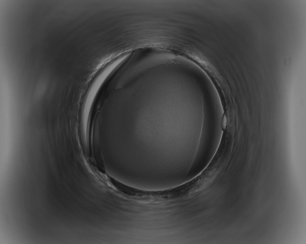 X0000087010434200704161544
