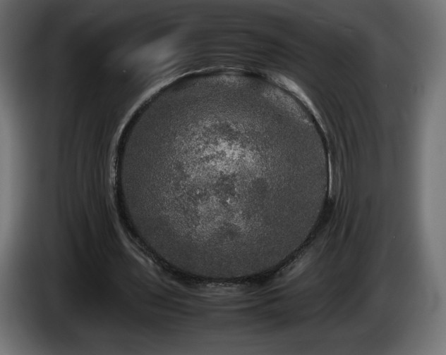 X0000087010435200704161544