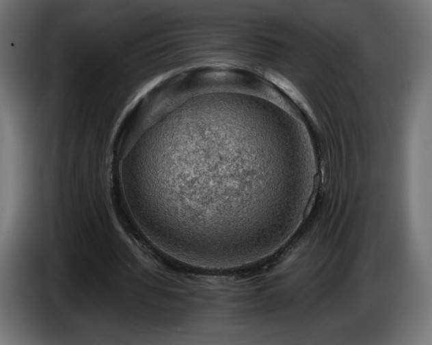X0000087010436200704161544