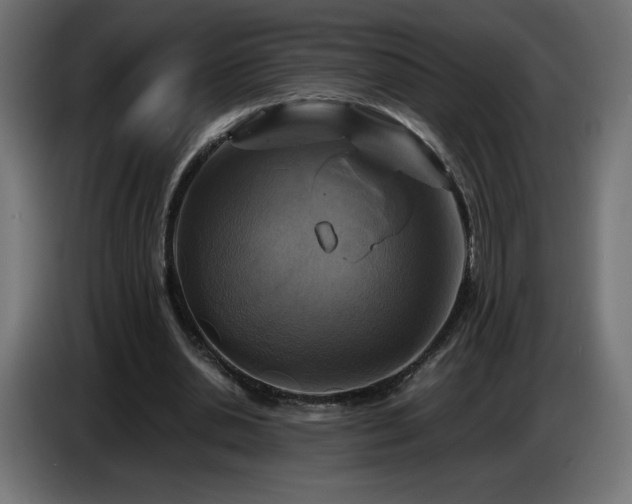 X0000087010438200704161544