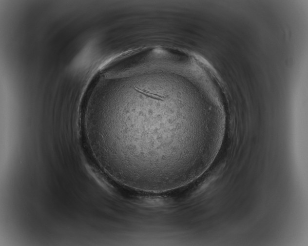 X0000087010439200704161544