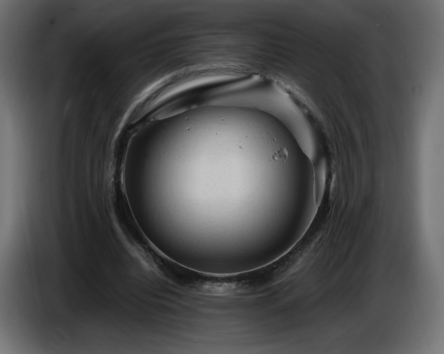X0000087010440200704161544