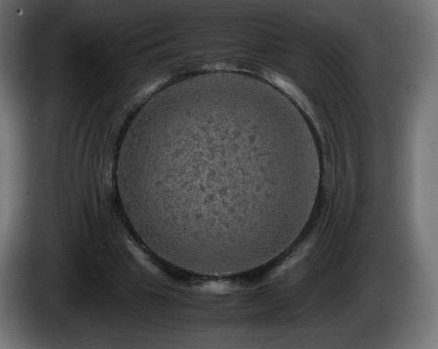 X0000087010441200704161544