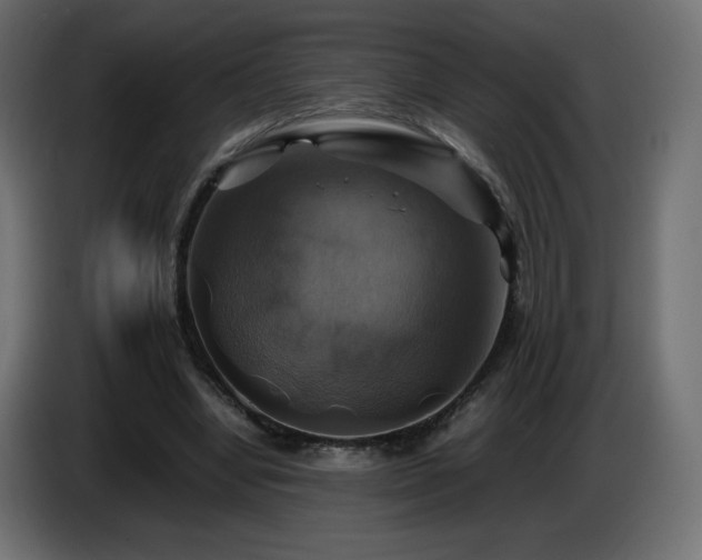 X0000087010442200704161545