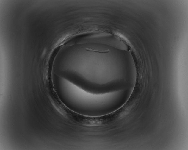 X0000087010443200704161545