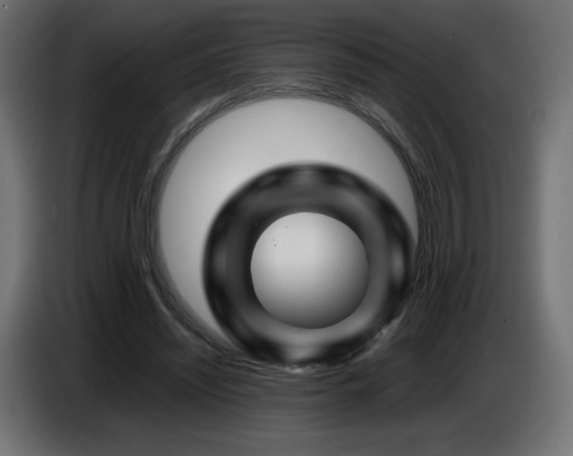 X0000087010444200704161545