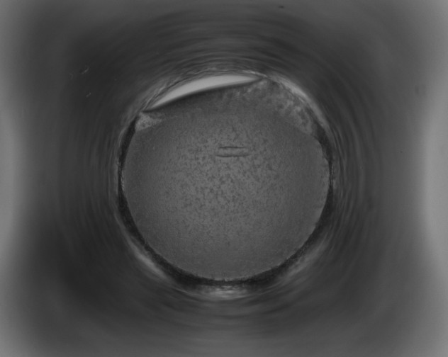 X0000087010445200704161545
