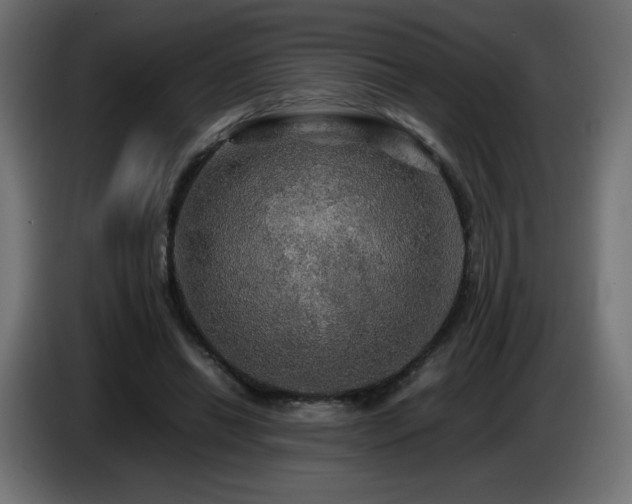 X0000087010446200704161545