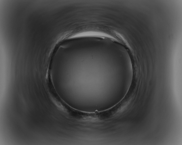 X0000087010447200704161545
