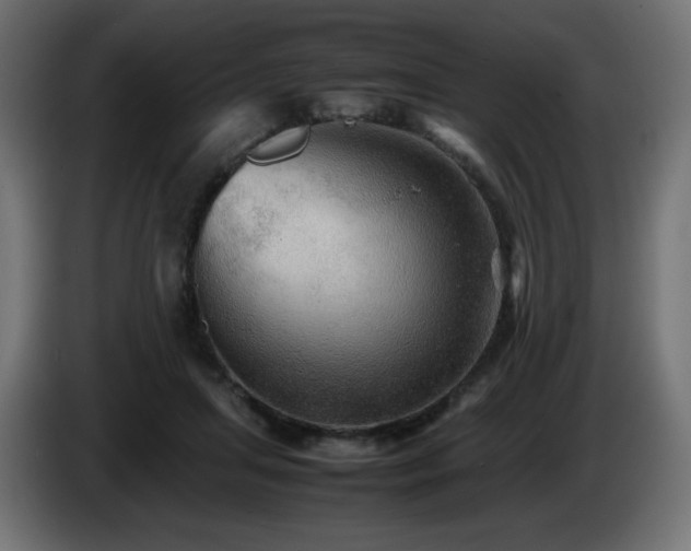 X0000087010455200704161545