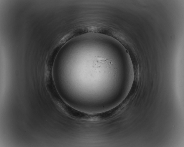 X0000087010456200704161545