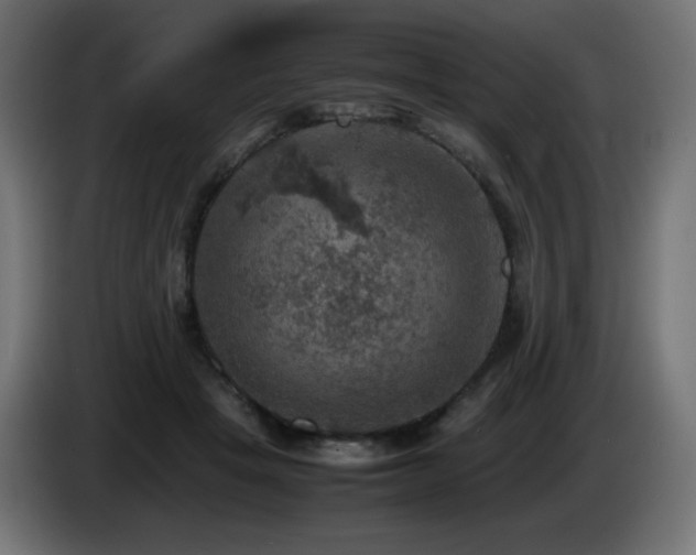 X0000087010457200704161545