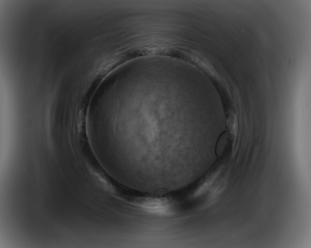 X0000087010458200704161545