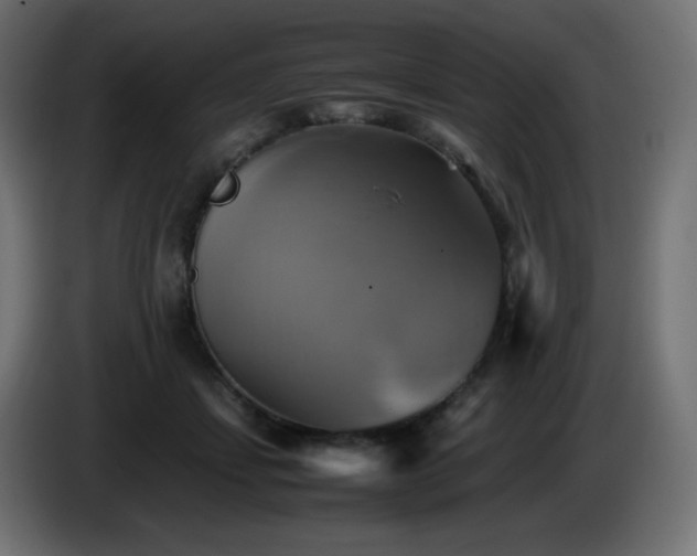 X0000087010459200704161545