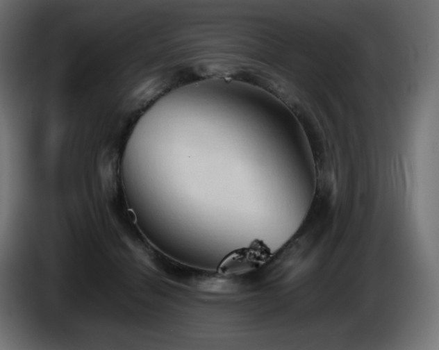 X0000087010460200704161545