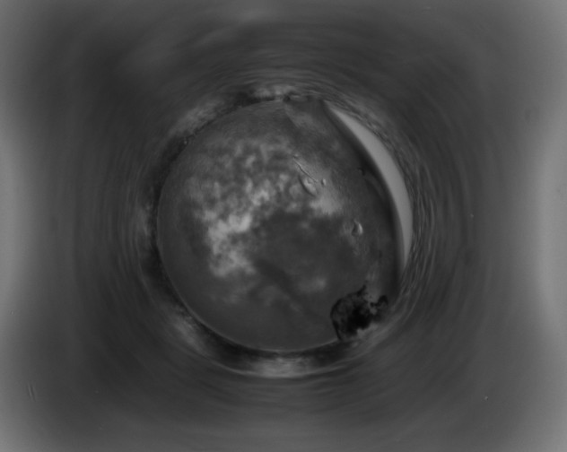 X0000087010461200704161545
