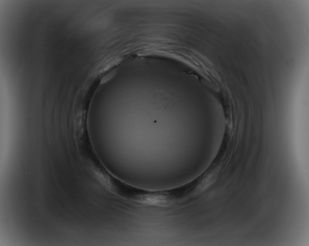 X0000087010462200704161545