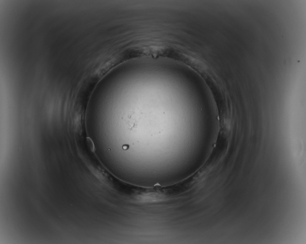 X0000087010468200704161545
