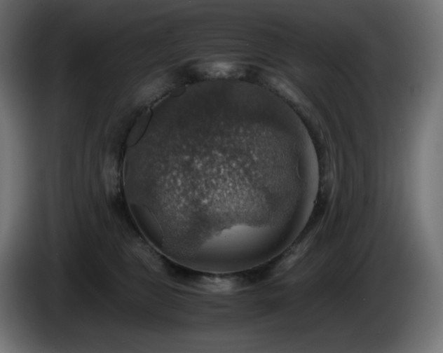 X0000087010469200704161545